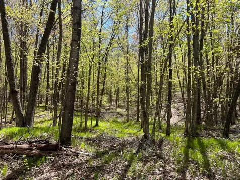W6474 River Road Trego WI 54888