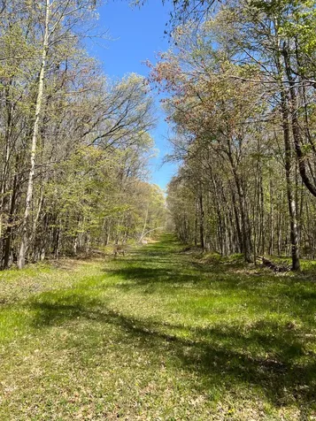 W6474 River Road Trego WI 54888