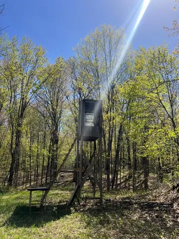 W6474 River Road Trego WI 54888