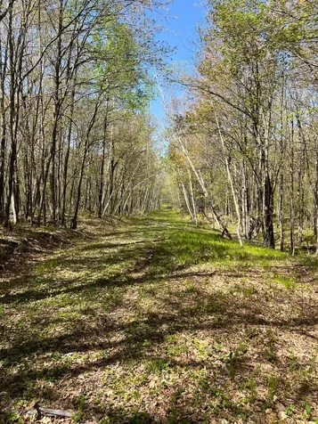 W6474 River Road Trego WI 54888