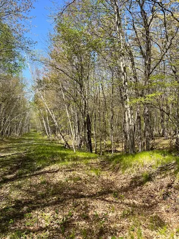 W6474 River Road Trego WI 54888
