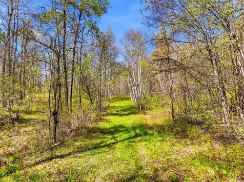 W6474 River Road Trego WI 54888