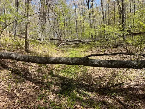 W6474 River Road Trego WI 54888