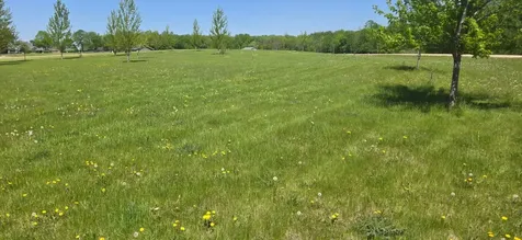 Tbd Meadows Circle Audubon MN 56511