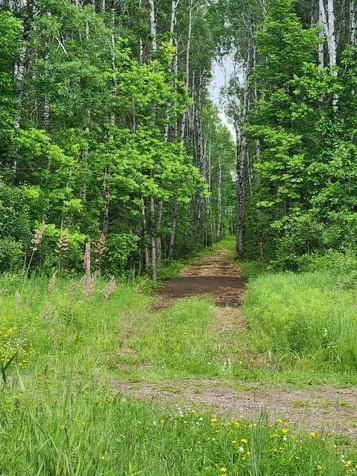 Xxx Co Road 8 Holyoke MN 55707