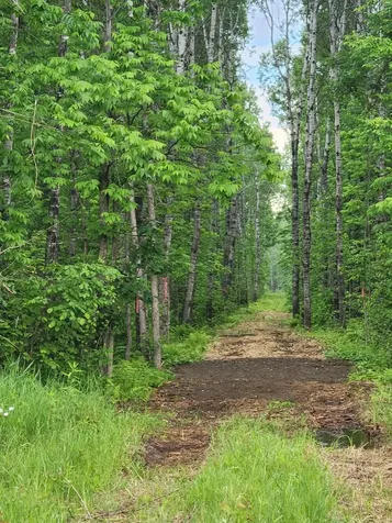 Xxx Co Road 8 Holyoke MN 55707