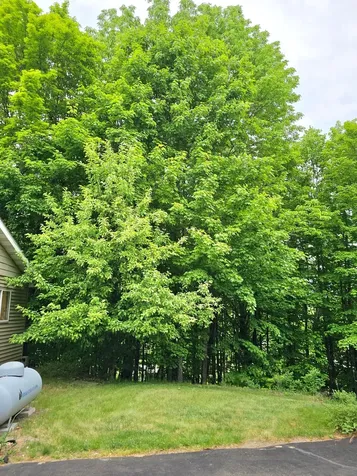 33660 368th Place Aitkin MN 56431