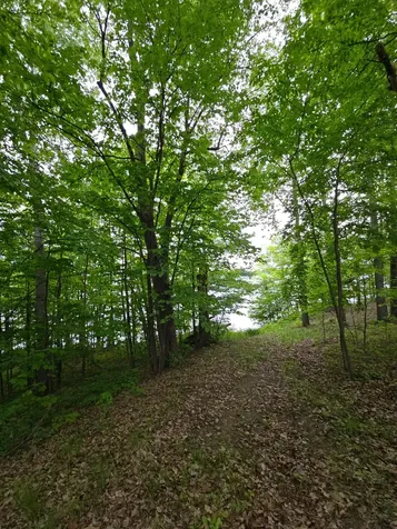 33660 368th Place Aitkin MN 56431
