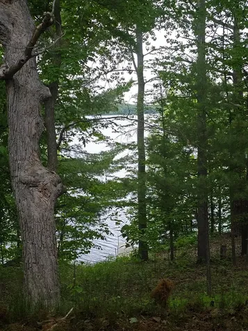 33660 368th Place Aitkin MN 56431