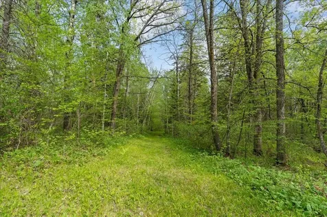 27965 County 7 Park Rapids MN 56470