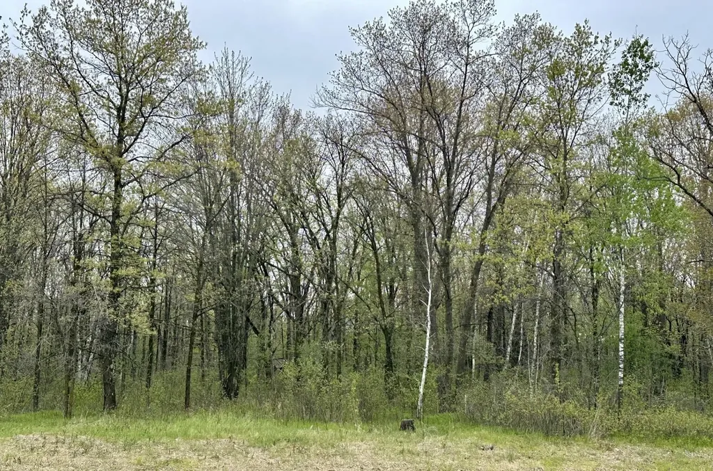 Tbd Jewel Road Little Falls MN 56345