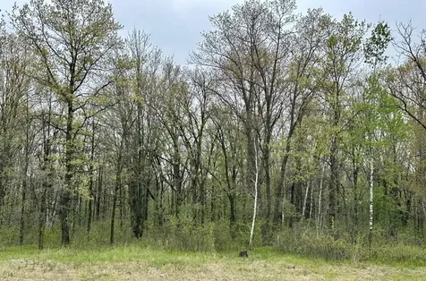 Tbd Jewel Road Little Falls MN 56345