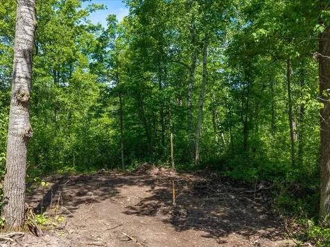 Lot 1 County Road 12 Ironton MN 56455