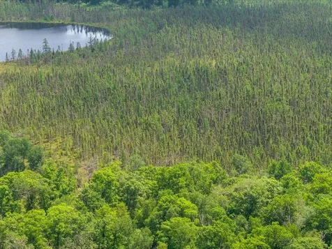 Lot 1 County Road 12 Ironton MN 56455