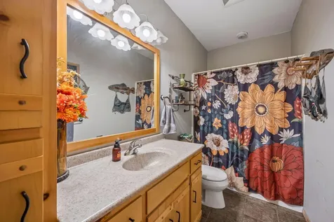 13763 County Road 3 Clear Lake MN 55319