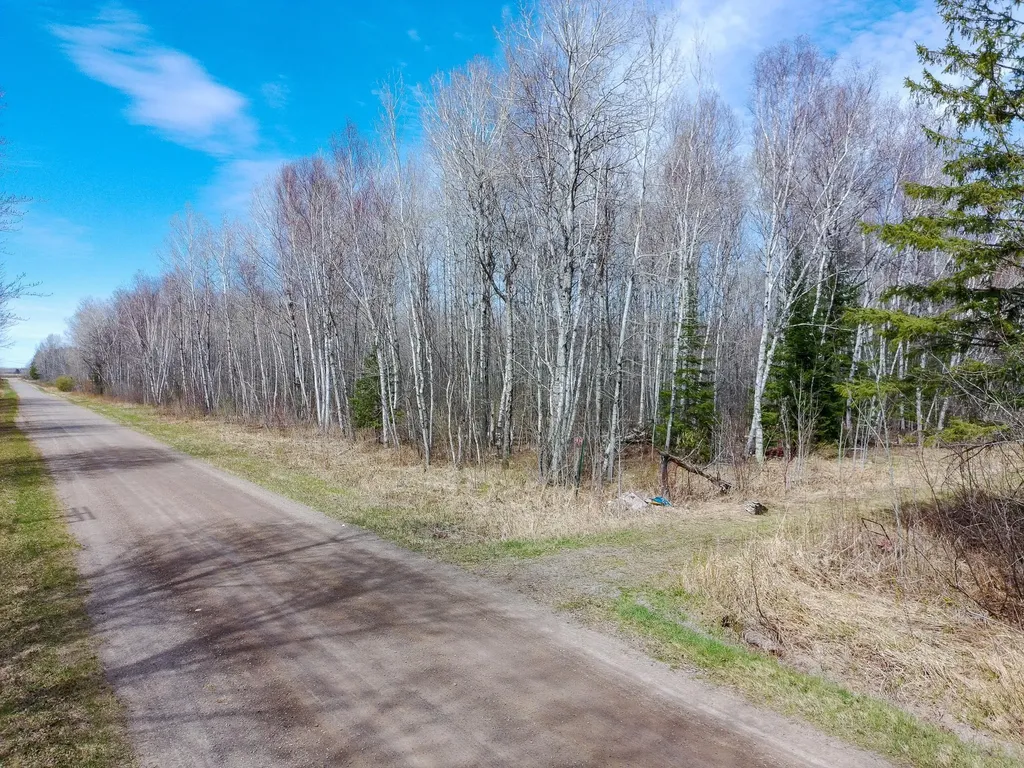 11839 Saint Vincent Road Floodwood MN 55736