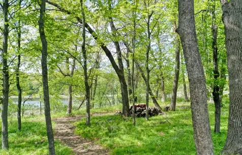 19226 Meadowridge Lane N Marine On Saint Croix MN 55047