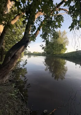 458 4th Street N Brownton MN 55312