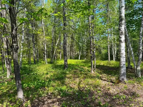 1505 Moorhead Road Cloquet MN 55720