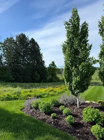 101 Spring Farm Road North Oaks MN 55127