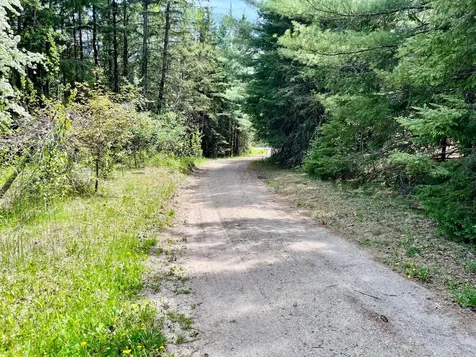1206 E Ottum Avenue Bigfork MN 56628