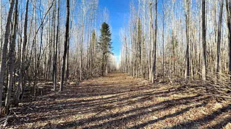 Lot B County Road 79 Littlefork MN 56653