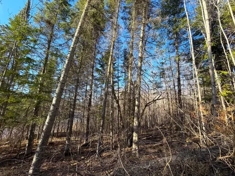 Lot B County Road 79 Littlefork MN 56653