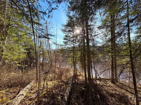 Lot B County Road 79 Littlefork MN 56653