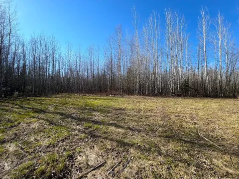 Lot B County Road 79 Littlefork MN 56653