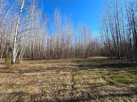 Lot B County Road 79 Littlefork MN 56653