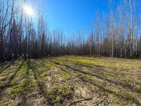 Lot B County Road 79 Littlefork MN 56653
