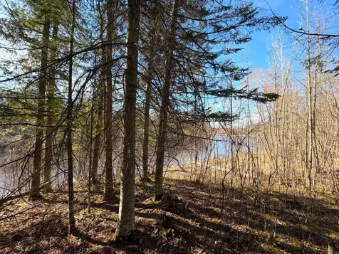 Lot B County Road 79 Littlefork MN 56653