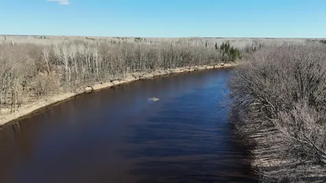 Lot B County Road 79 Littlefork MN 56653