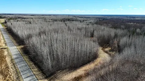 Lot B County Road 79 Littlefork MN 56653