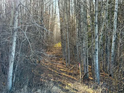 Lot B County Road 79 Littlefork MN 56653