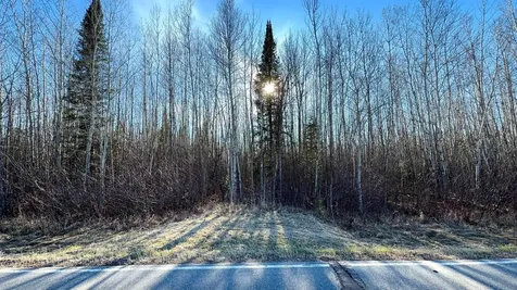 Lot B County Road 79 Littlefork MN 56653