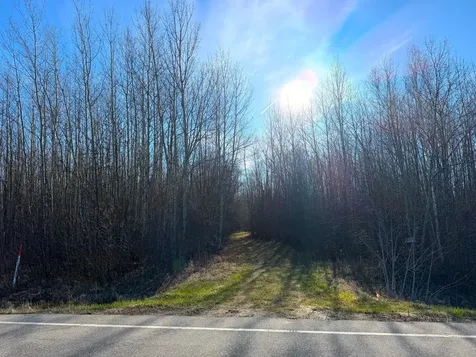 Lot B County Road 79 Littlefork MN 56653