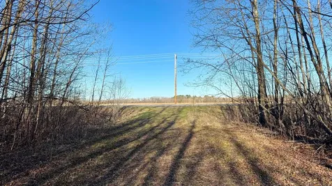 Lot B County Road 79 Littlefork MN 56653
