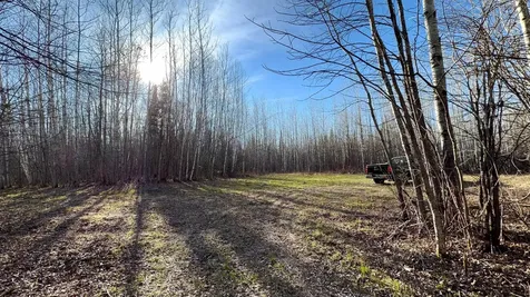 Lot B County Road 79 Littlefork MN 56653