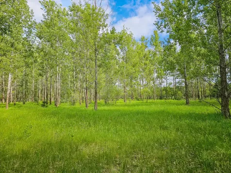 455XX Co Hwy 67 E New York Mills MN 56567
