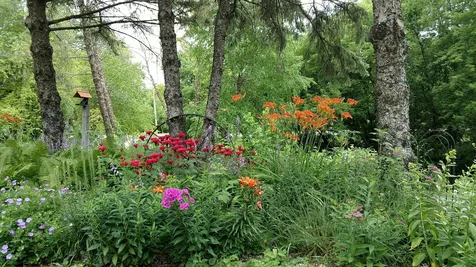 2945 County Road 4 #234 SW Cokato MN 55321