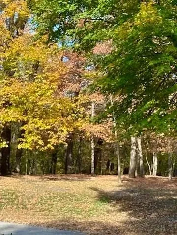 17135 200th Street Lake Park MN 56554