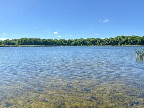 24718 W Elbow Road Pelican Rapids MN 56572
