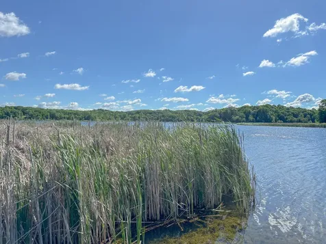 24718 W Elbow Road Pelican Rapids MN 56572