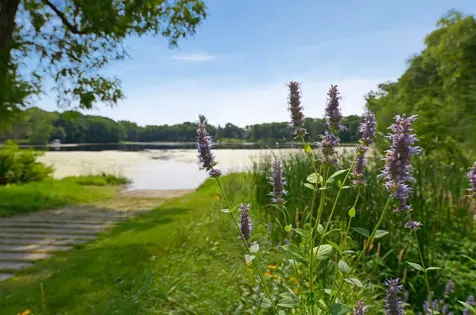 40 E Golden Lake Road Circle Pines MN 55014