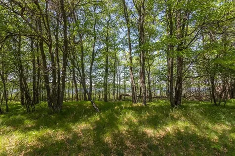 Tbd Sorenson Lake Road Merrifield MN 56465