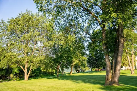 32592 Juniper Road Chatfield MN 55923