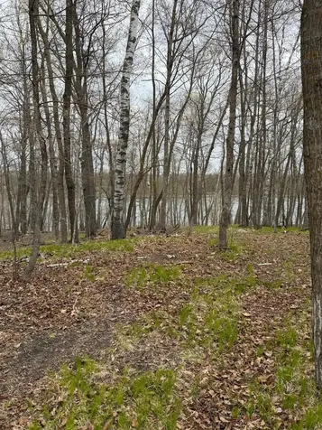 Lot 7 SW Pickerel Lake Road Detroit Lakes MN 56501