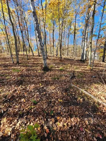 Lot 7 SW Pickerel Lake Road Detroit Lakes MN 56501