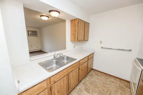 315 E Main Street Cyrus MN 56323